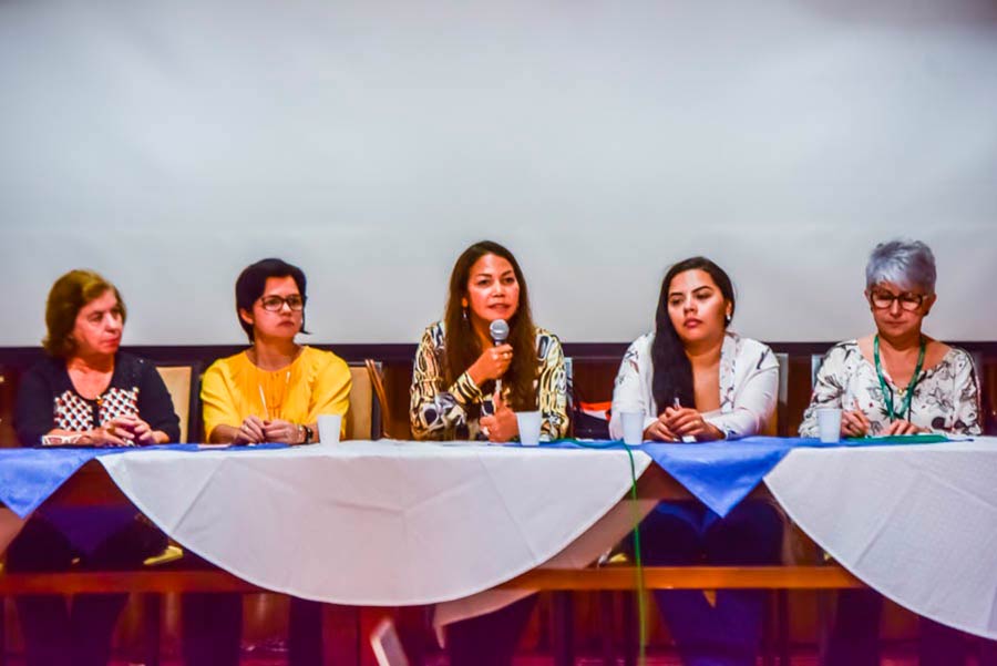 Segundo dia de seminário prioriza criação de protocolo de atendimento para adolescentes
