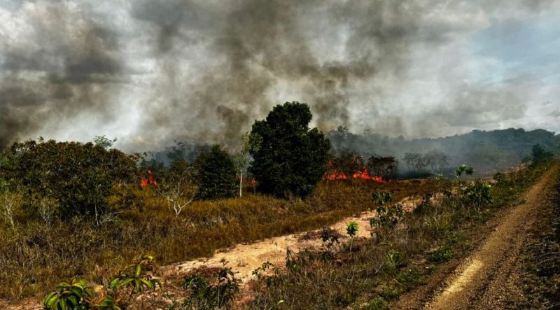 Governo do Amapá orienta sobre cuidados com a saúde durante a estiagem e queimadas no estado