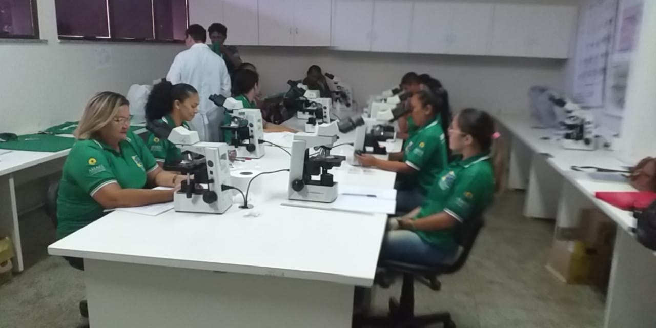 Municípios recebem curso de atualização no diagnóstico de hemoparasitas