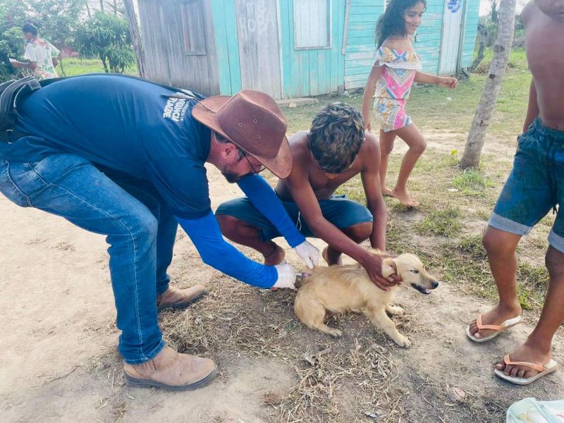 Governo do Amapá reforça vacinação contra a raiva em cães e gatos no interior do estado