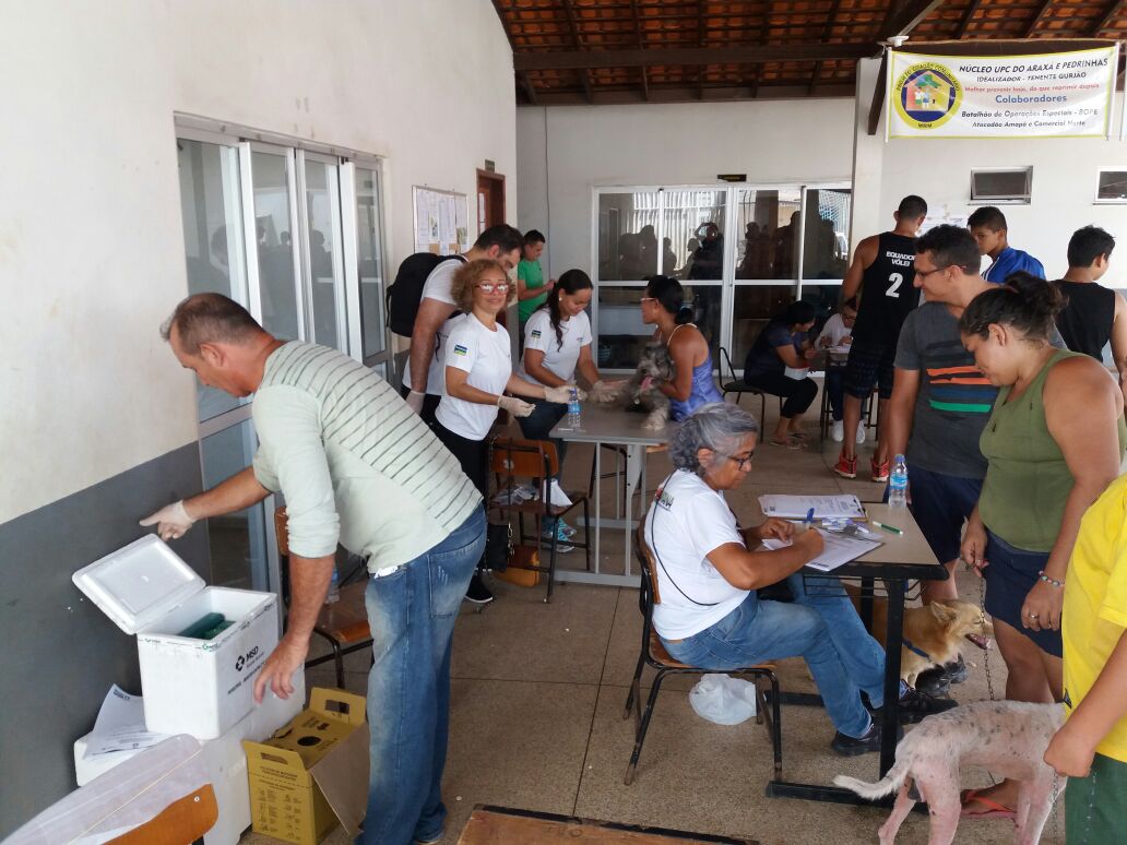 SVS atua em parceria com a prefeitura e coleta amostras da população canina para teste de Leishmaniose