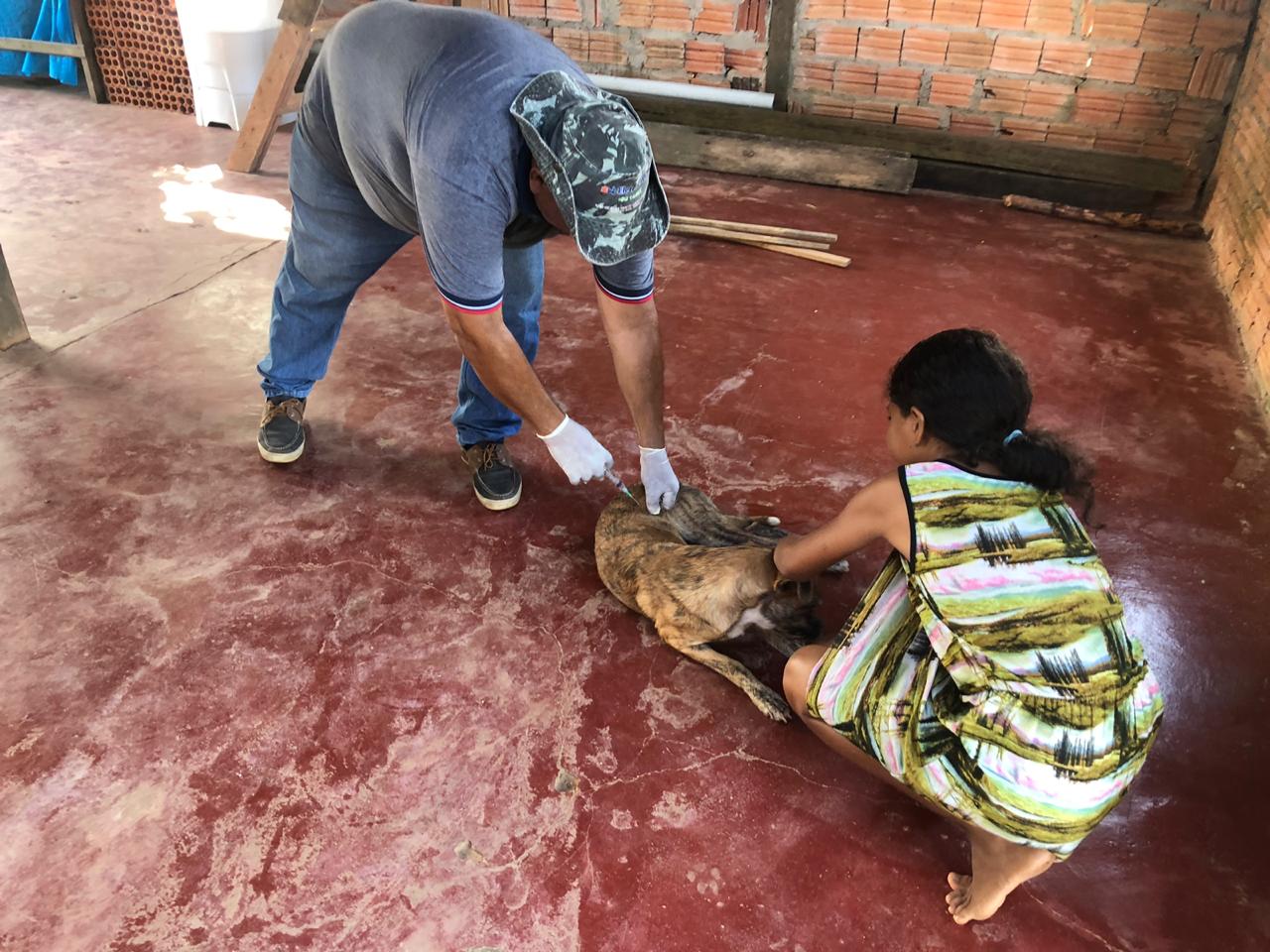 Município de Pracuúba recebe ação de vacinação antirrábica