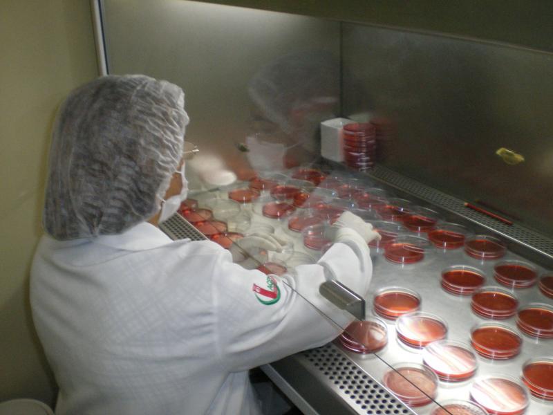 Parabéns aos biomédicos da SVS!