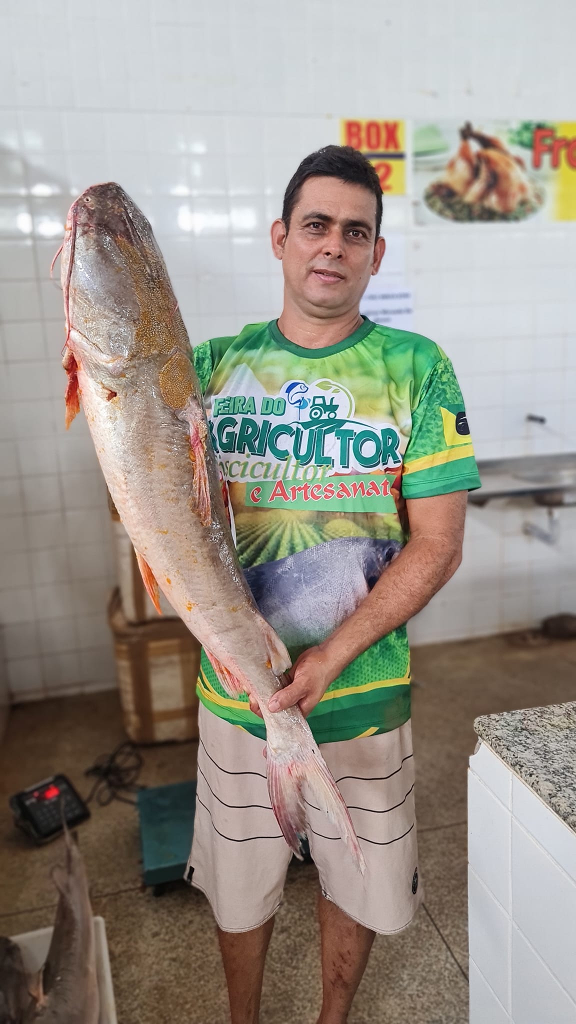 Feira do Agricultor e Pescador