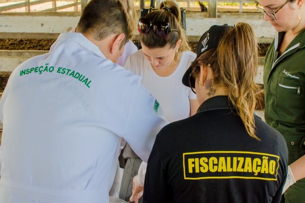 capacitação combate à peste suína - diagro 
