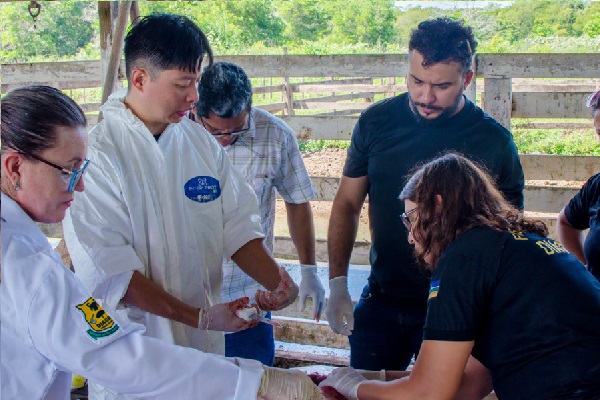 capacitação combate à peste suína - diagro 