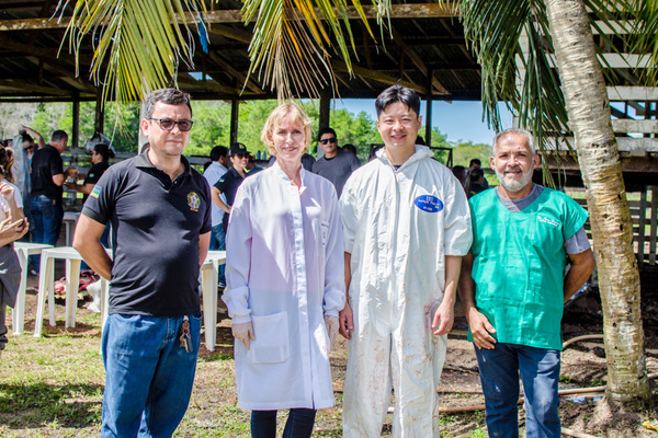 capacitação combate à peste suína - diagro 