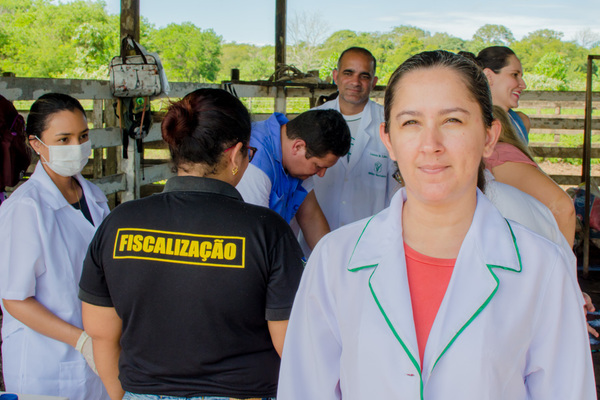 capacitação combate à peste suína - diagro 