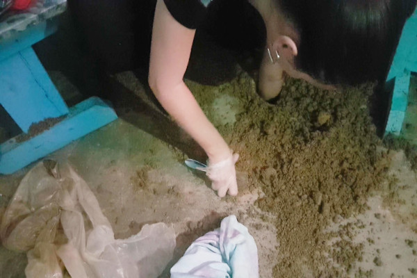 Busca em uma toca de mais de um metro de profundidade
