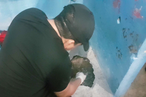 Agente encontra toca gigante na cela de presos 