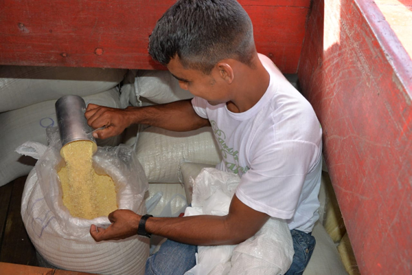 Farinha de mandioca vinda da região do Cajari