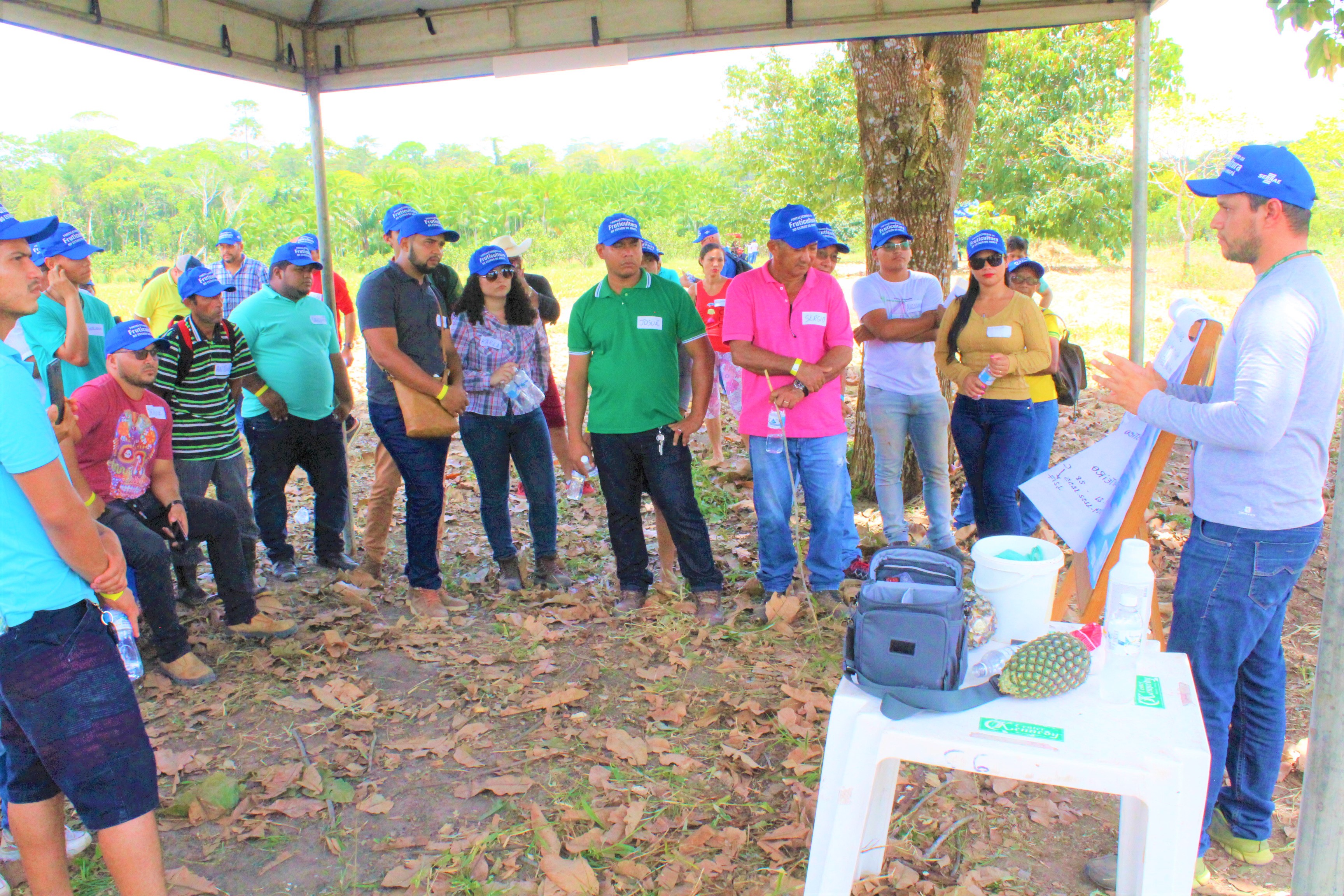 Apresentação sobre indução floral e colheita de frutos