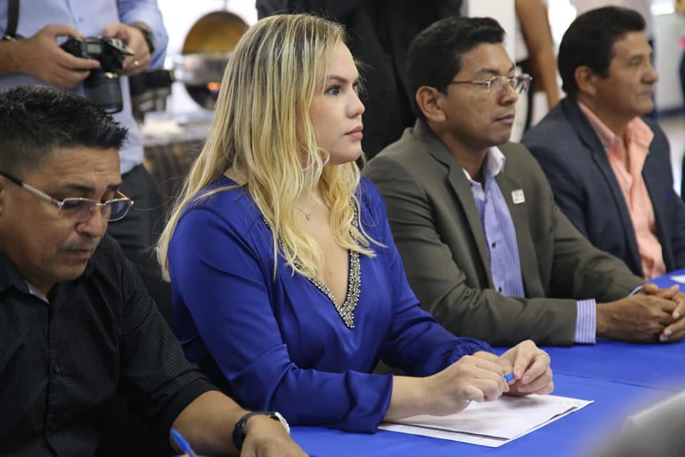 Prefeita Beth Pelaes participa de reunião entre prefeitos e o ministro da Saúde