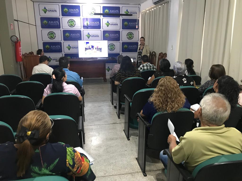 Técnicos da Agência Amapá recebem capacitação sobre a plataforma Tesouro Verde