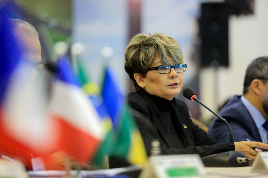 Comitiva brasileira propõe mudanças no regimento do Conselho do Rio Oiapoque