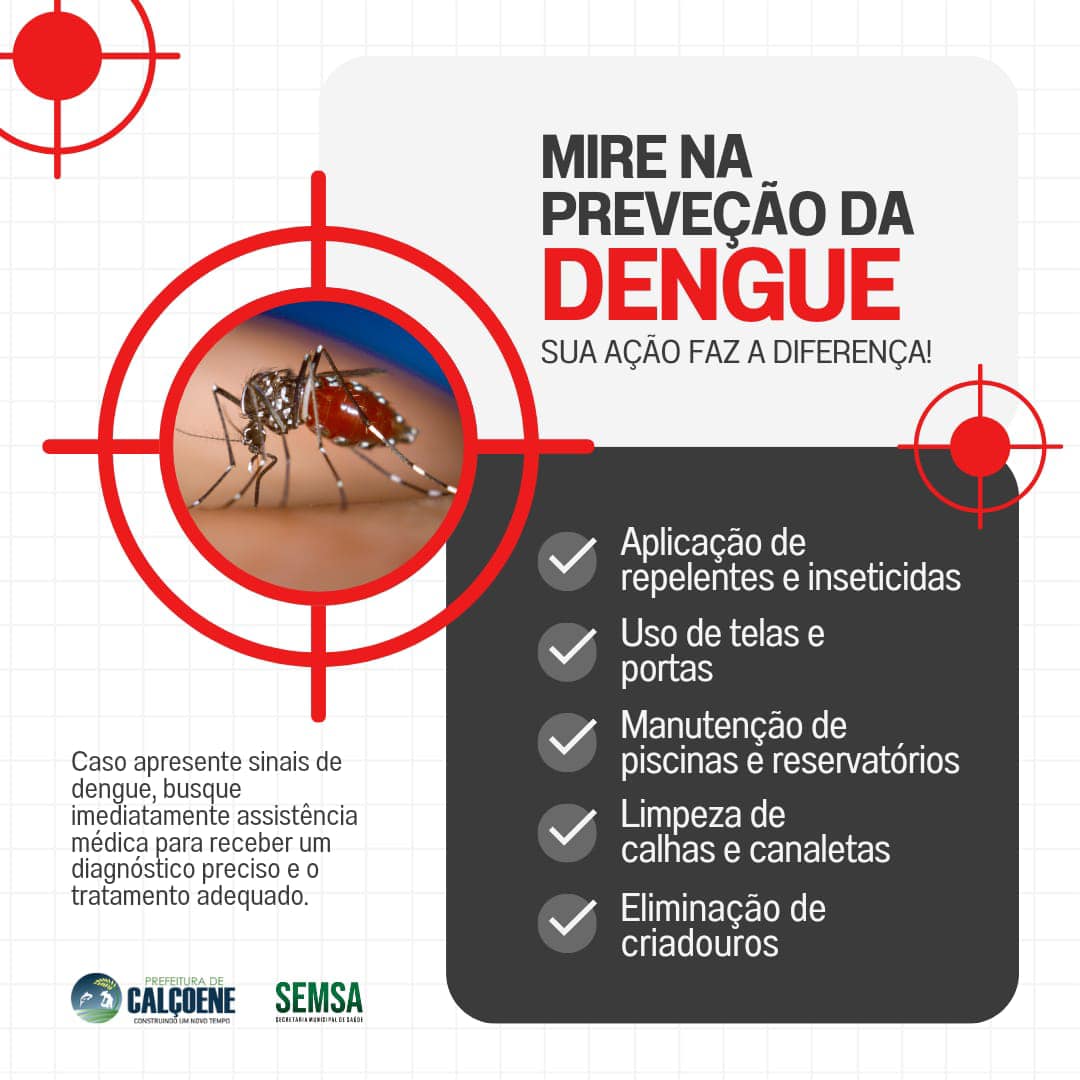  A DENGUE NÃO É BRINCADEIRA!