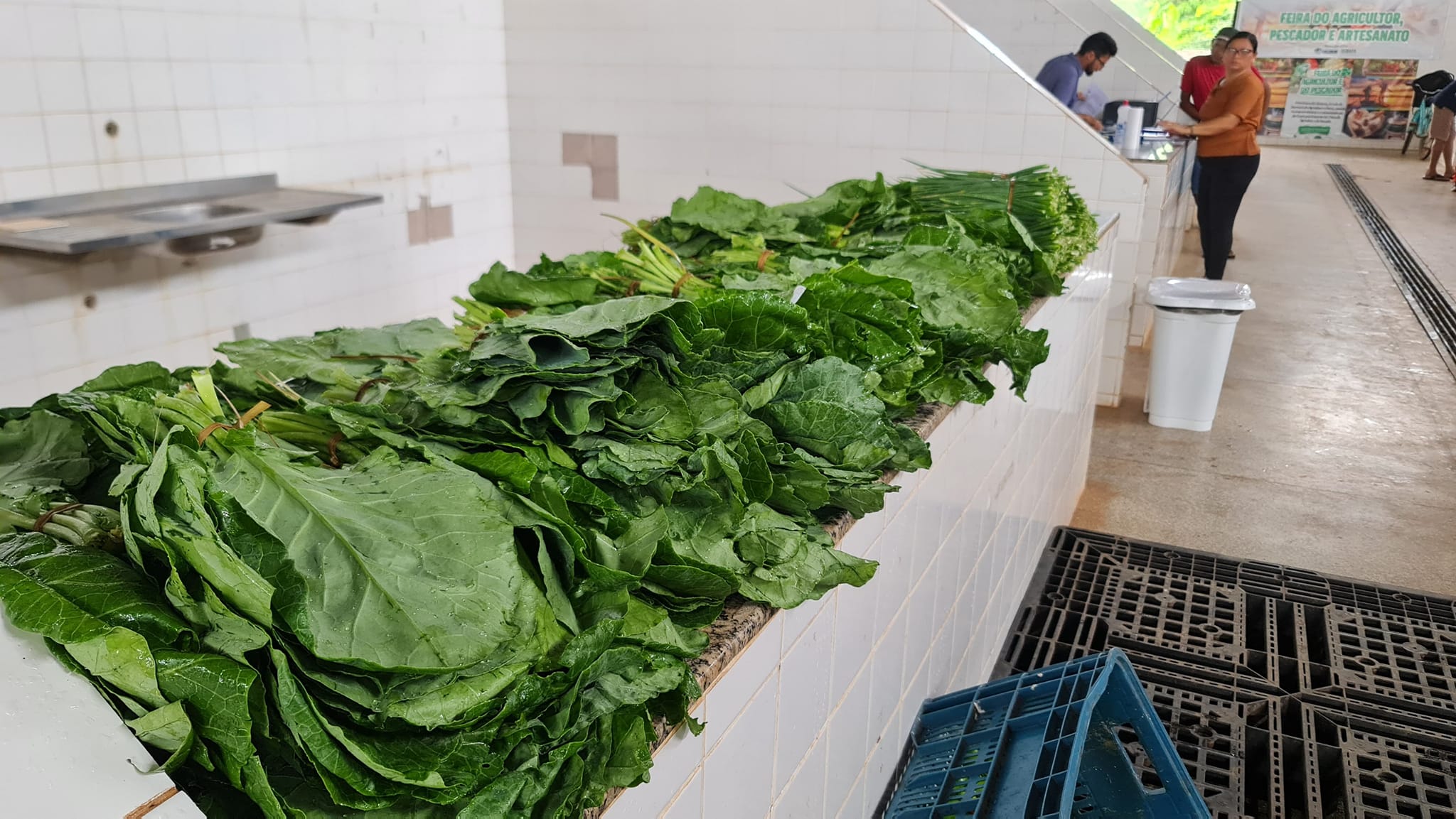5ª Feira do Programa de Aquisição de Alimentos Fortalece Agricultura Familiar em Calçoene
