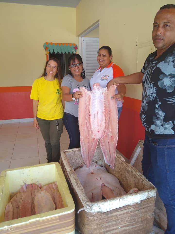 DOAÇÃO