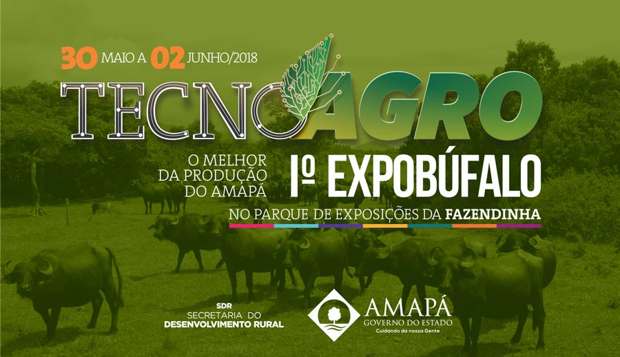 Primeiro dia da ExpoBúfalo vai evidenciar história da bubalinocultura amapaense