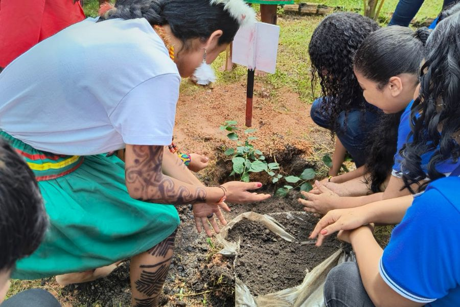 Governo do Amapá promove educação ambiental e sustentabilidade com projeto “Aula com cheiro de floresta”, em Macapá