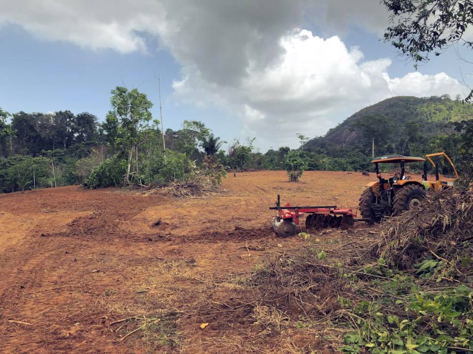SECRETARIA DE AGRICULTURA DE OIAPOQUE AUXILIA AGRICULTORES COM SERVIÇO DE MECANIZAÇÃO NO PLANTIO