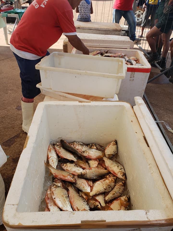 1º FESTIVAL DO PESCADO