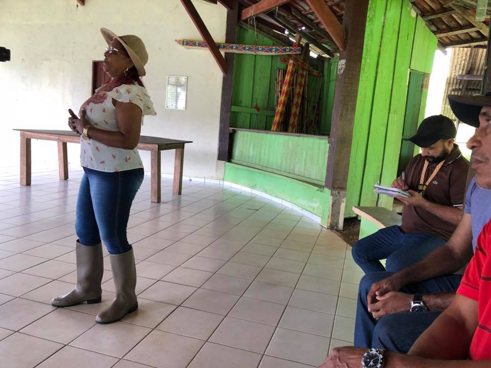 MECANIZAÇÃO NO PLANTIO