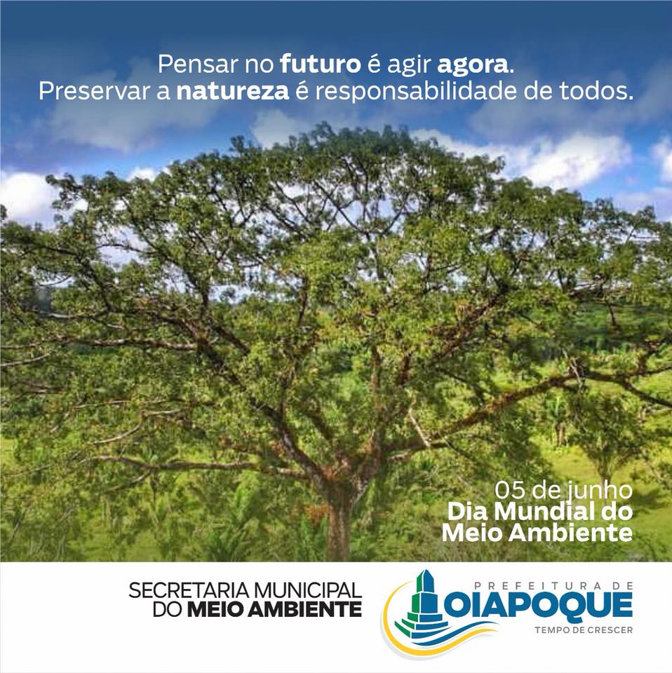 05 DE JUNHO DIA MUNDIAL DO MEIO AMBIENTE