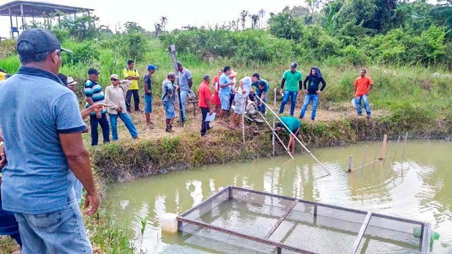 Governo realiza oficinas de piscicultura e beneficiamento de pescado no município de Amapá