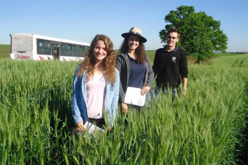 Região dos Lagos ganha primeiro curso superior de agronomia da UEAP