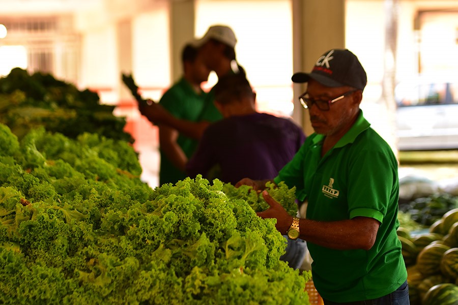 PAA vai injetar mais R$ 1,5 mi na agricultura familiar do Amapá