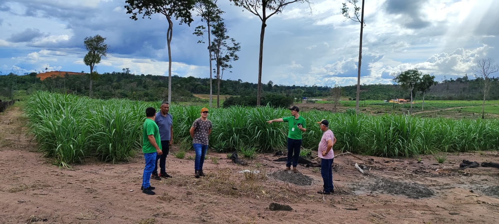 Promovendo a Sustentabilidade na Pecuária Amazônica: Curso em Laranjal do Jari