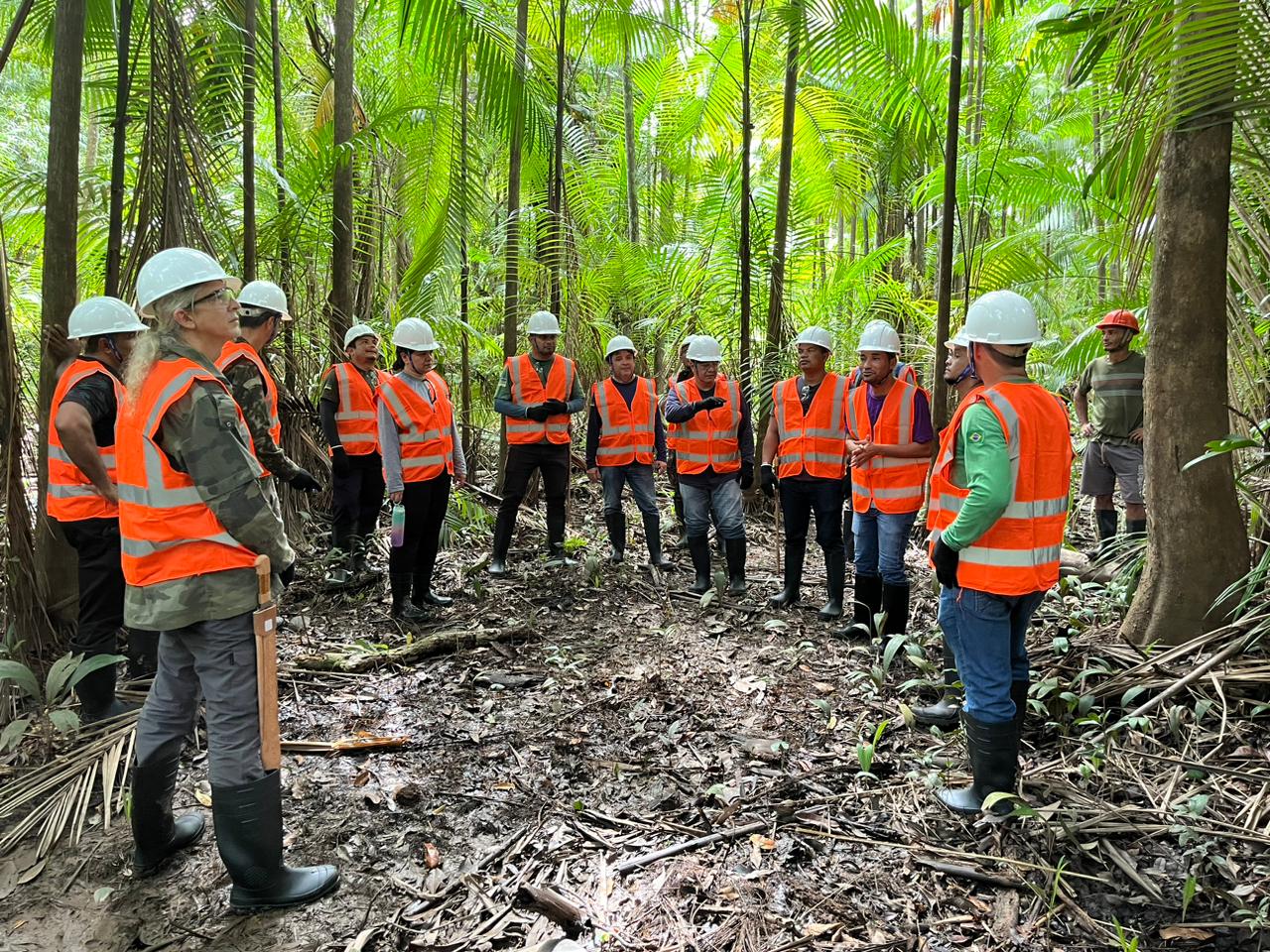 técnicos do RURAP , da Coordenadoria de Extensão do Manejo Florestal  - DDF , Participam da capacitação  para ampliar o conhecimento em Manejo de Açaizais Nativos. 