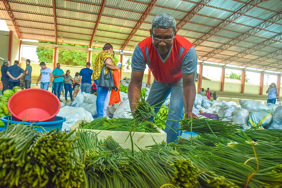 Balanço: PAA movimentou quase R$ 200 mil em 15 dias