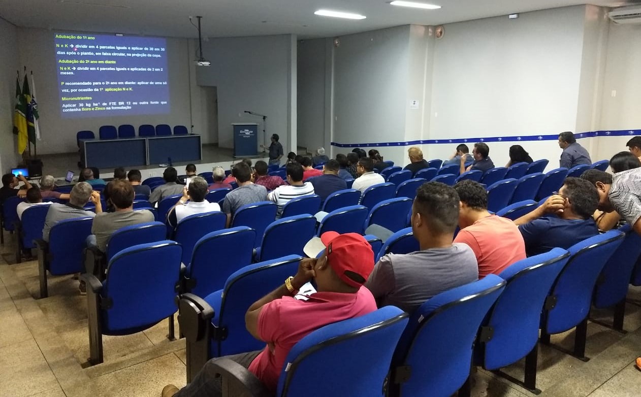 Extensionistas do Rurap participam de curso de cultivo de açaizeiros em terra firme no Amapá