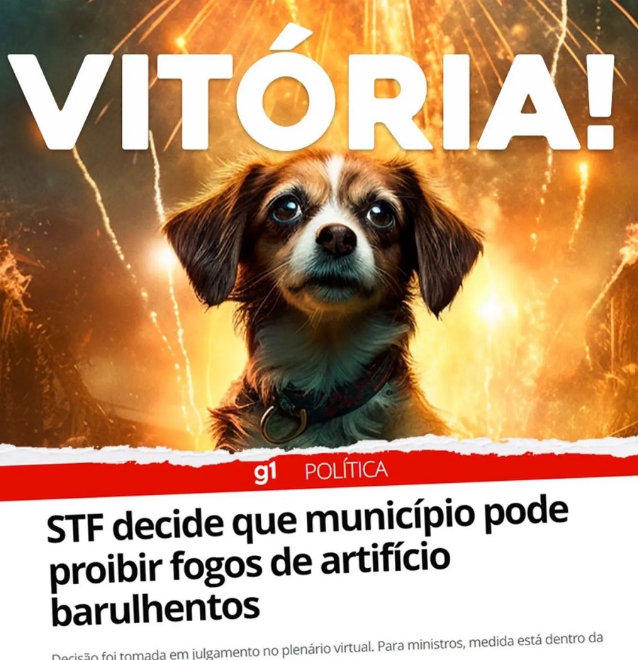 STF decide que municípios podem proibir uso do fogos de artifícios