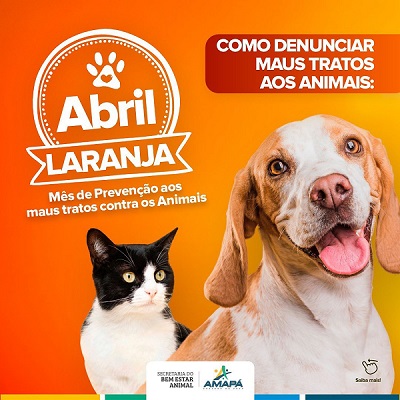 Campanha de combate aos maus tratos aos animais
