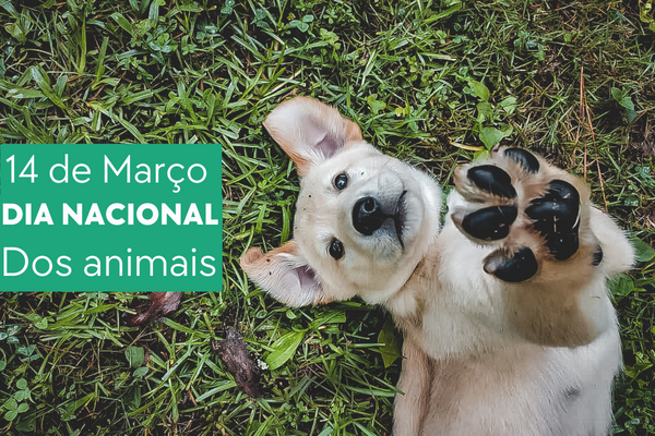 Dia Nacional dos Animais 2023
