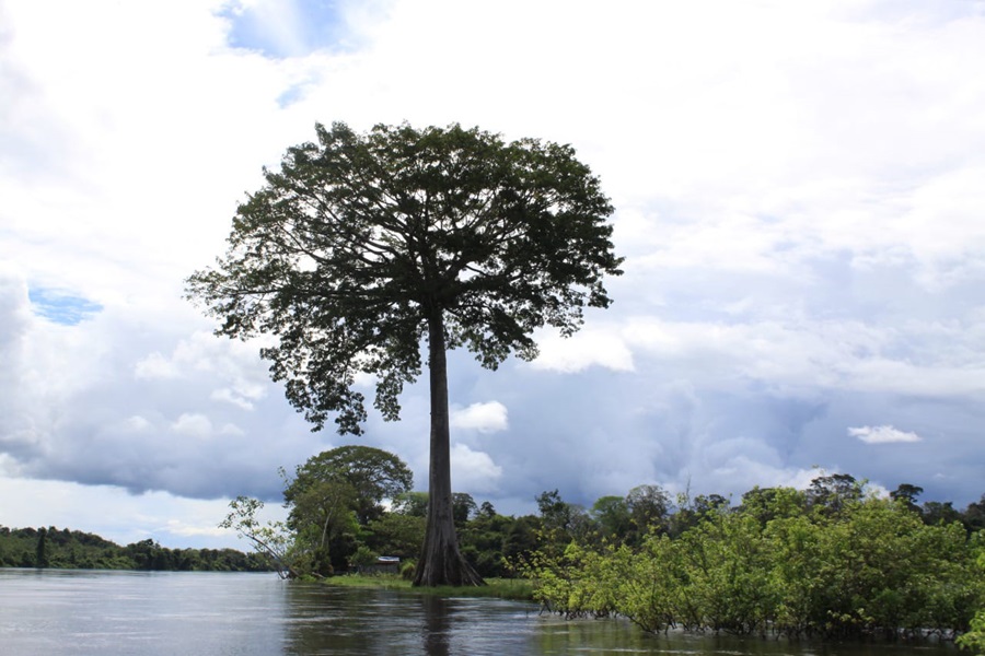 Governo do Estado dá dicas de férias ecológicas e sustentáveis para o cuidado com o meio ambiente