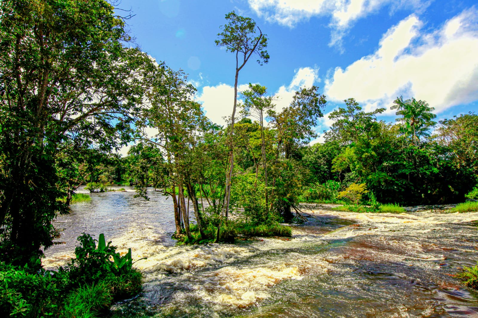 Governo do Amapá realiza a 5ª Conferência Estadual do Meio Ambiente com foco na emergência climática