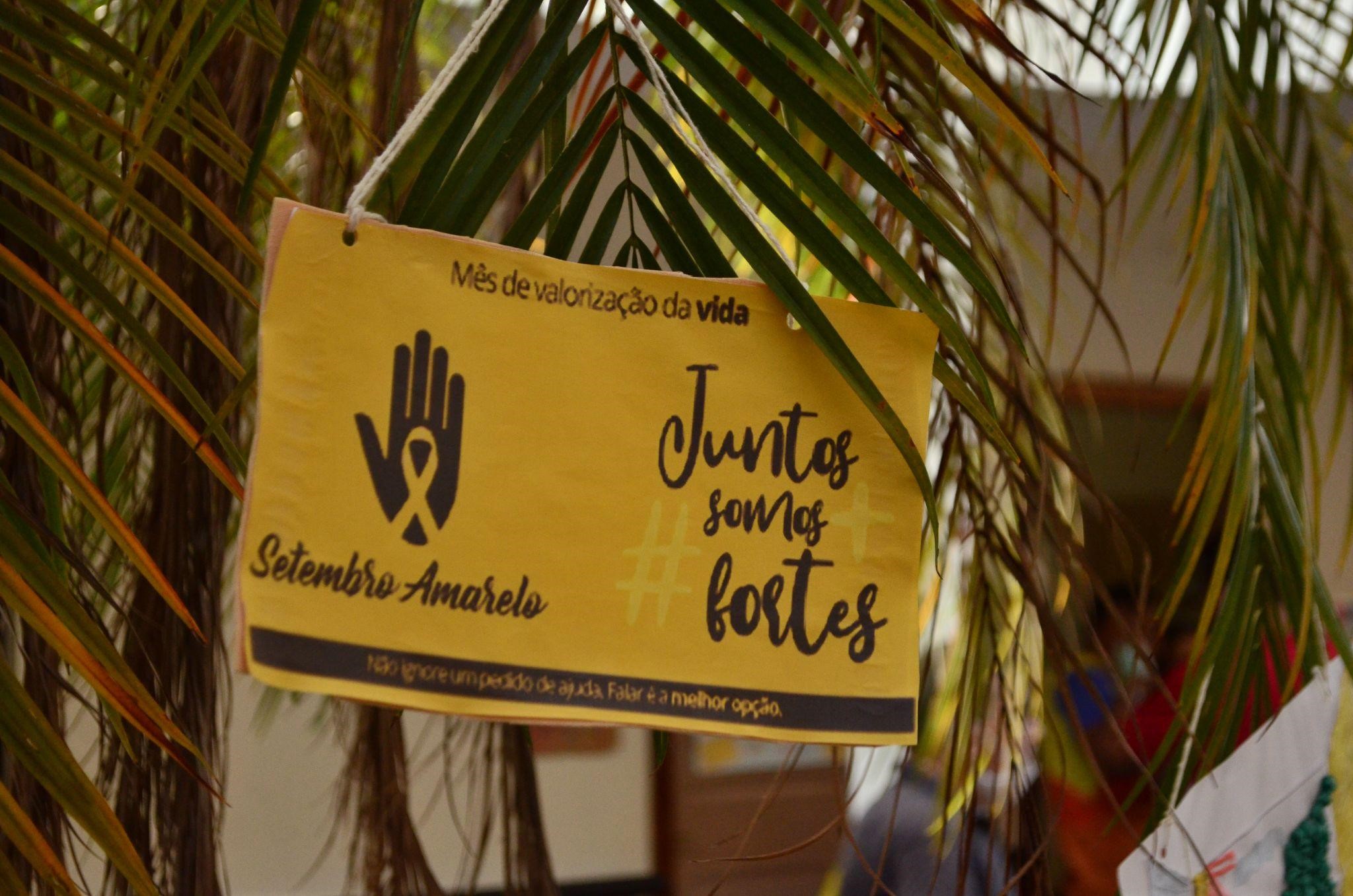 Setembro Amarelo: Caps Gentileza promove atividades de valorização à vida