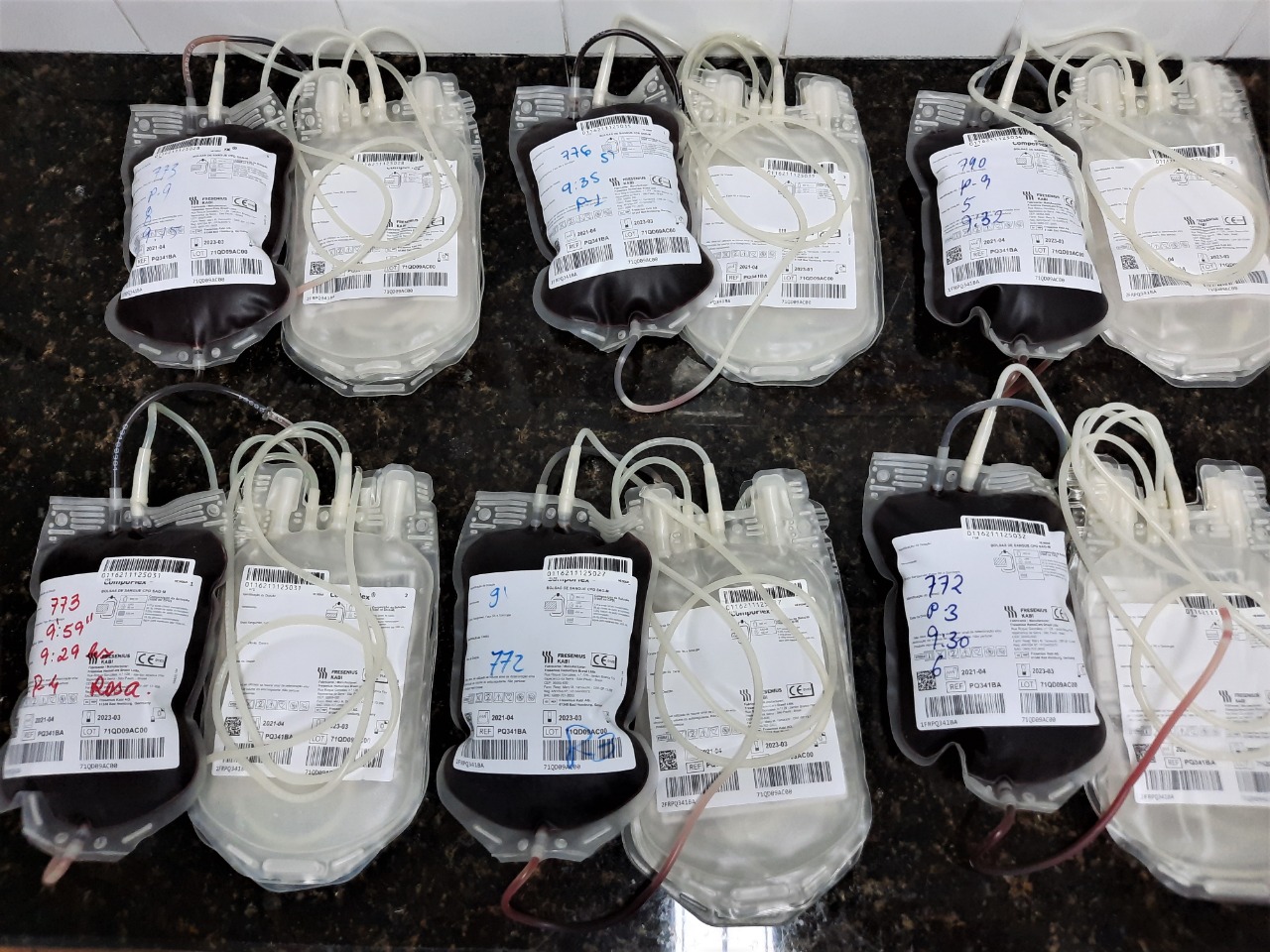Hemoap reforça pedido por doações das tipagens sanguíneas O+ e O-
