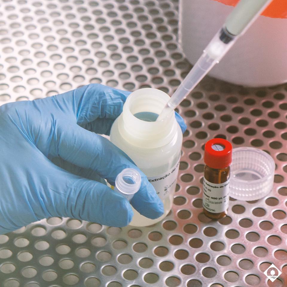 Covid-19: taxa de infecção diminui no Amapá e SVS registra baixo número de amostras recebidas