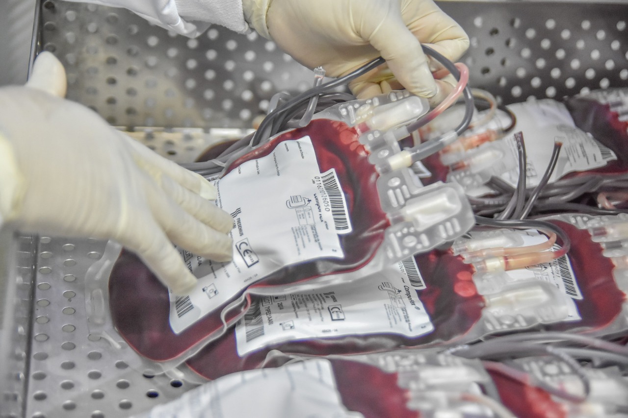 No Dia Nacional da Doação de Sangue, Hemoap orienta a população sobre a importância da causa