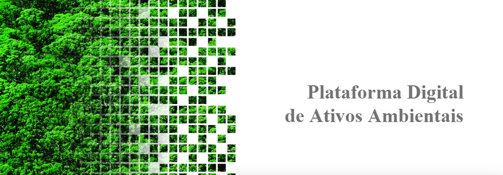 Conheça a Plataforma Tesouro Verde