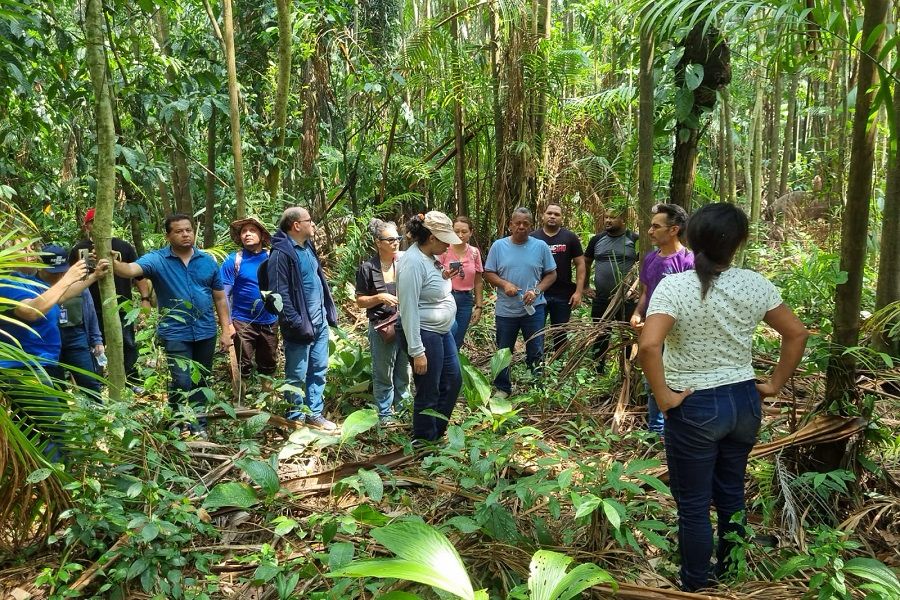 Governo do Amapá visita quilombo do Cunani para traçar estratégias de fomento das produções de cacau e açaí