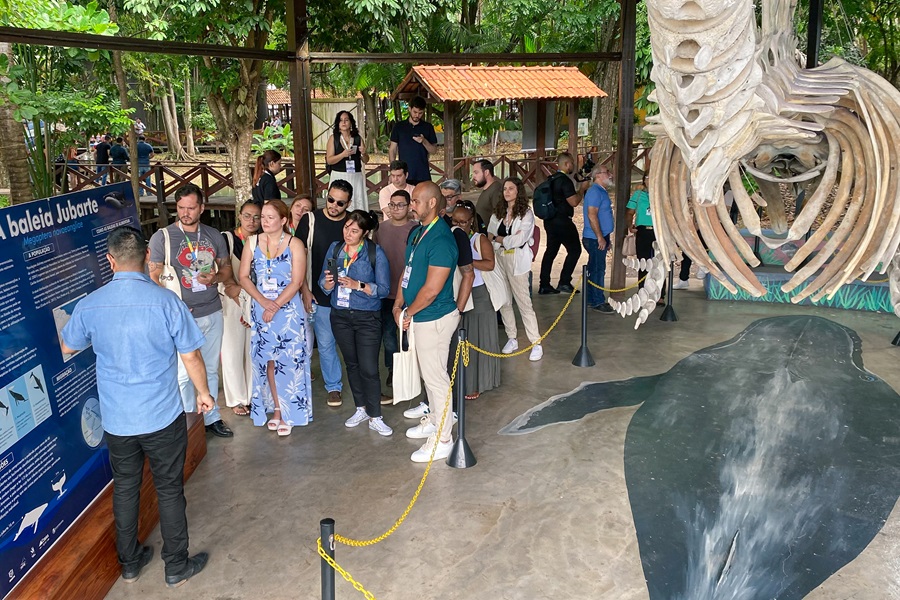 Startup20 no Amapá: delegações conhecem acervo científico, tecnológico e cultural de instituições de ensino e pesquisa do estado