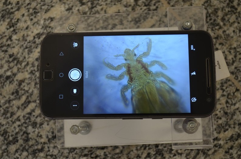 Alunos do Amapá criam microscópio de R$ 25 que funciona com smartphone