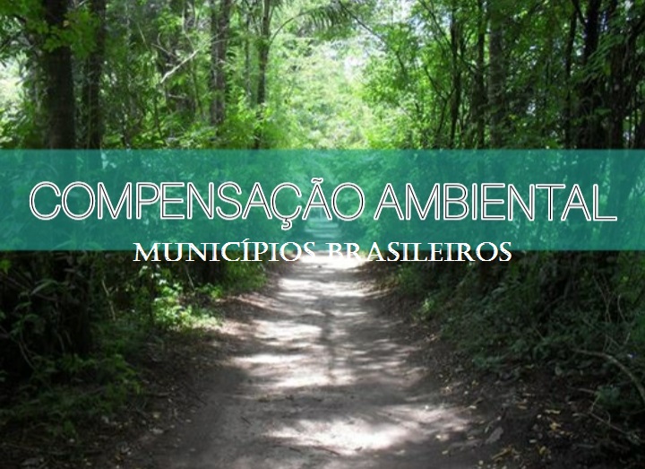 UBAM viabiliza o Crédito de Carbono